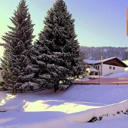 Appartement Nr 19, Alpenappartementhaus, Oberstaufen-Steibis, Allgaeu, Oberstaufen Plus Bagian luar foto