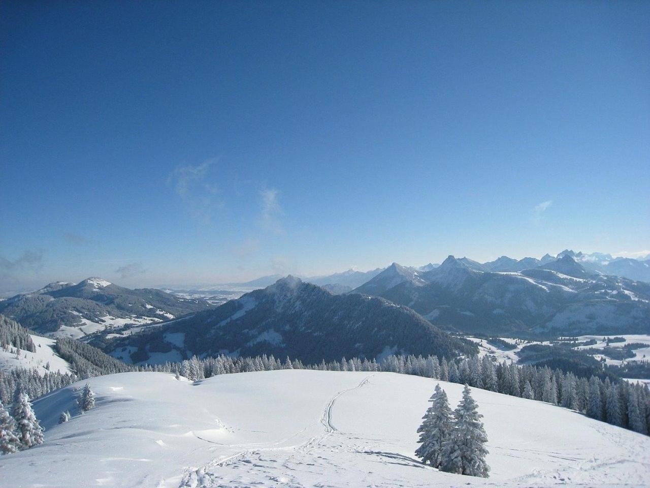 Appartement Nr 19, Alpenappartementhaus, Oberstaufen-Steibis, Allgaeu, Oberstaufen Plus Bagian luar foto